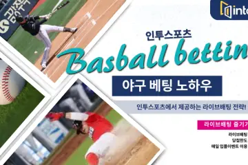 인투스포츠 야구 배팅 전략