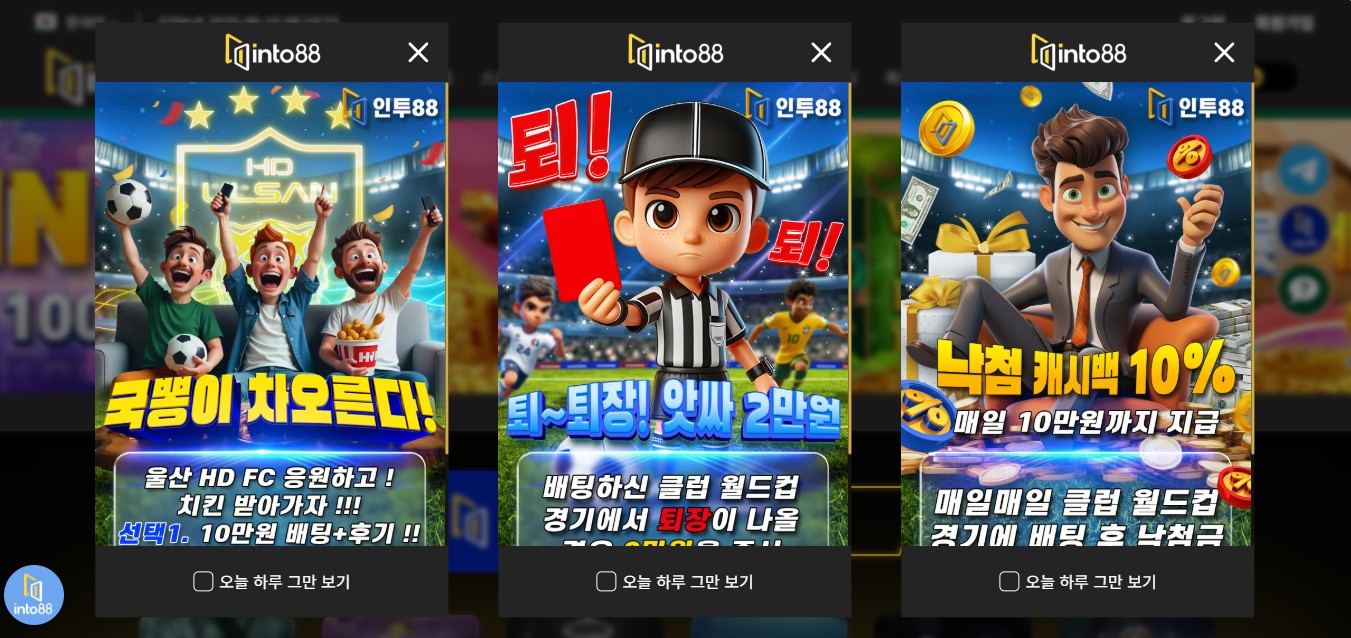 인투스포츠